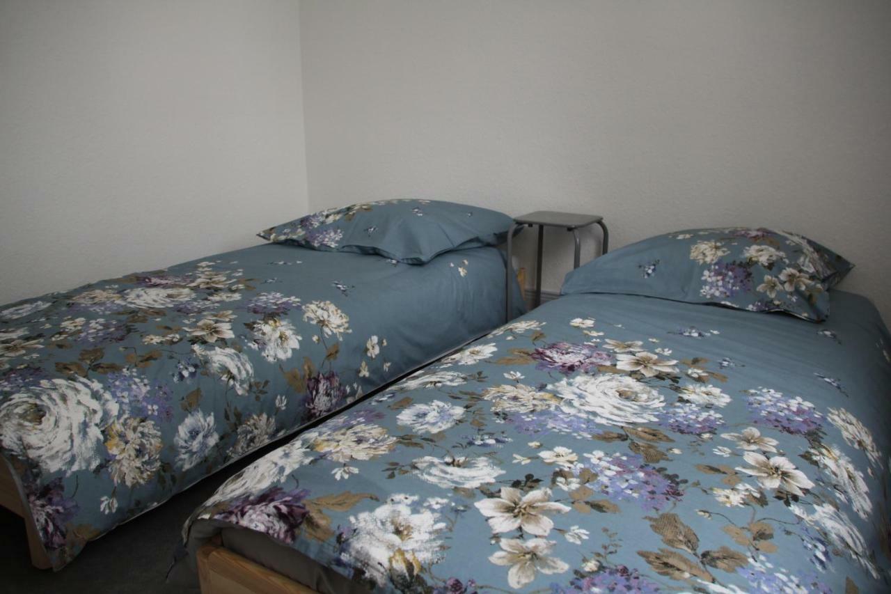Appartement T3 Tres Calme - Le Bartholdi - Centre De Colmar Ngoại thất bức ảnh